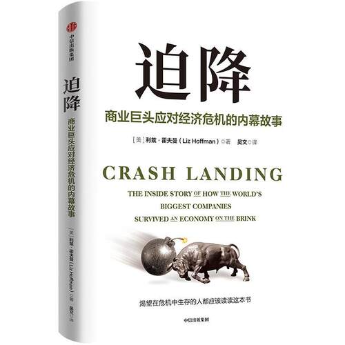 迫降:商业巨头应对经济危机的内幕故事:the inside story of how the world'iggest companies survived 书利兹·霍夫曼  经济书籍