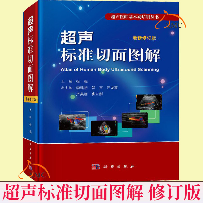 血管正常值测量备忘录心动图入门掌中宝腹部浅表器官书系基础彩超临床