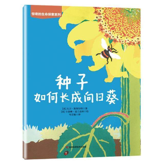 种子如何长成向日葵书大卫·斯图尔特向日葵儿童读物学龄前儿童农业