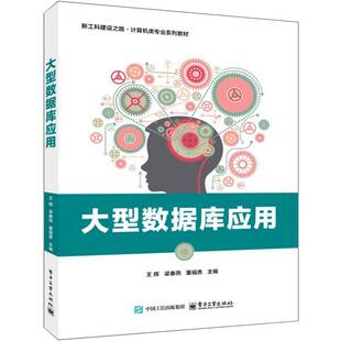 大型数据库应用书王辉 计算机与网络书籍