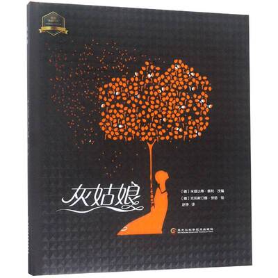 灰姑娘书米娅达蒂·蔡利改 岁艺术书籍