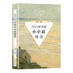 小说书籍 2023年中国小小说书秦俑