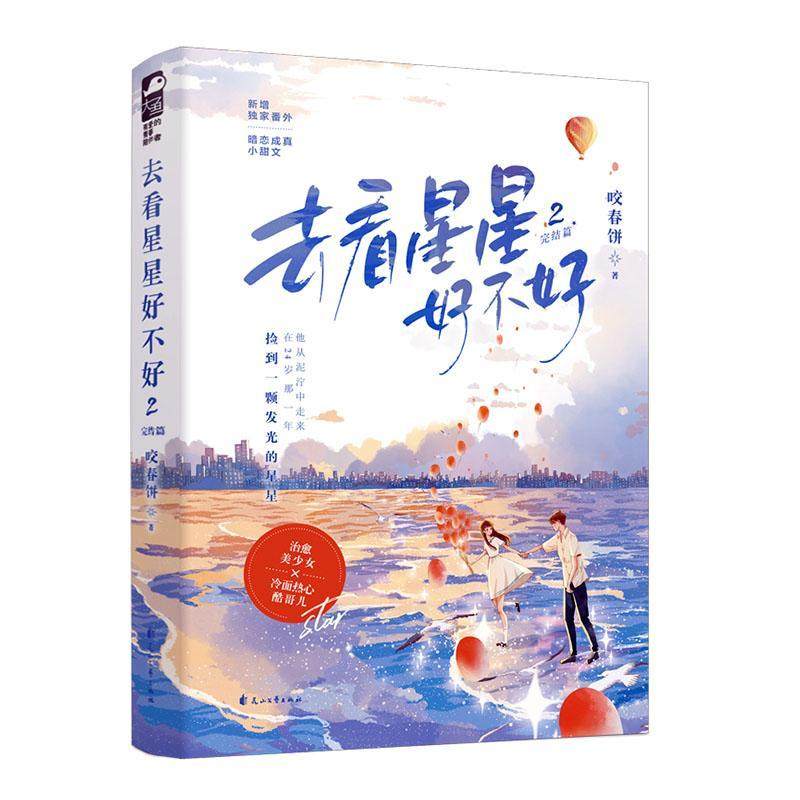 去看星星好不好:完结篇:2书咬春饼  小说书籍