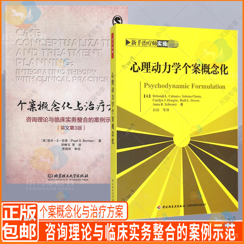 个案概念化与治疗方案