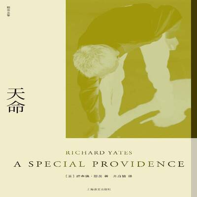天命书德·耶茨  小说书籍