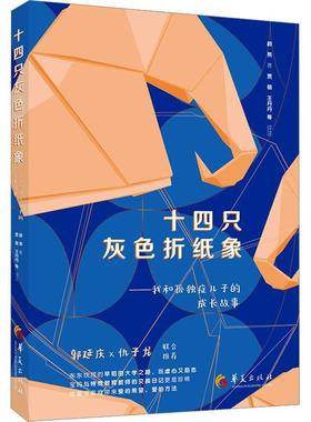 十四只灰色折纸象:我和孤独症儿子的成长故事书颜燕  社会科学书籍