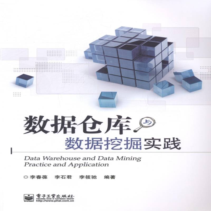 数据仓库与数据挖掘实践书李春葆数据库系统 计算机与网络书籍