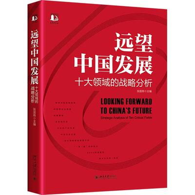 远望中国发展:十大领域的战略分析:strategic analysis of ten critical fields书张国有  经济书籍
