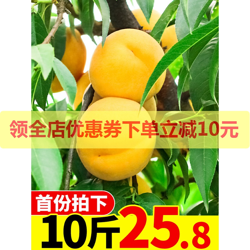 黄桃新鲜水果当季整箱10斤应季包邮砀山时令现摘5蜜桃脆桃黄桃子