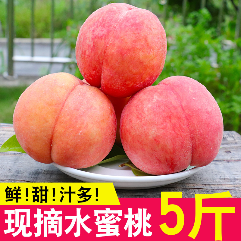 青州蜜桃子新鲜5斤脆桃水蜜桃离核毛桃秋冬桃雪桃水果当季整箱10