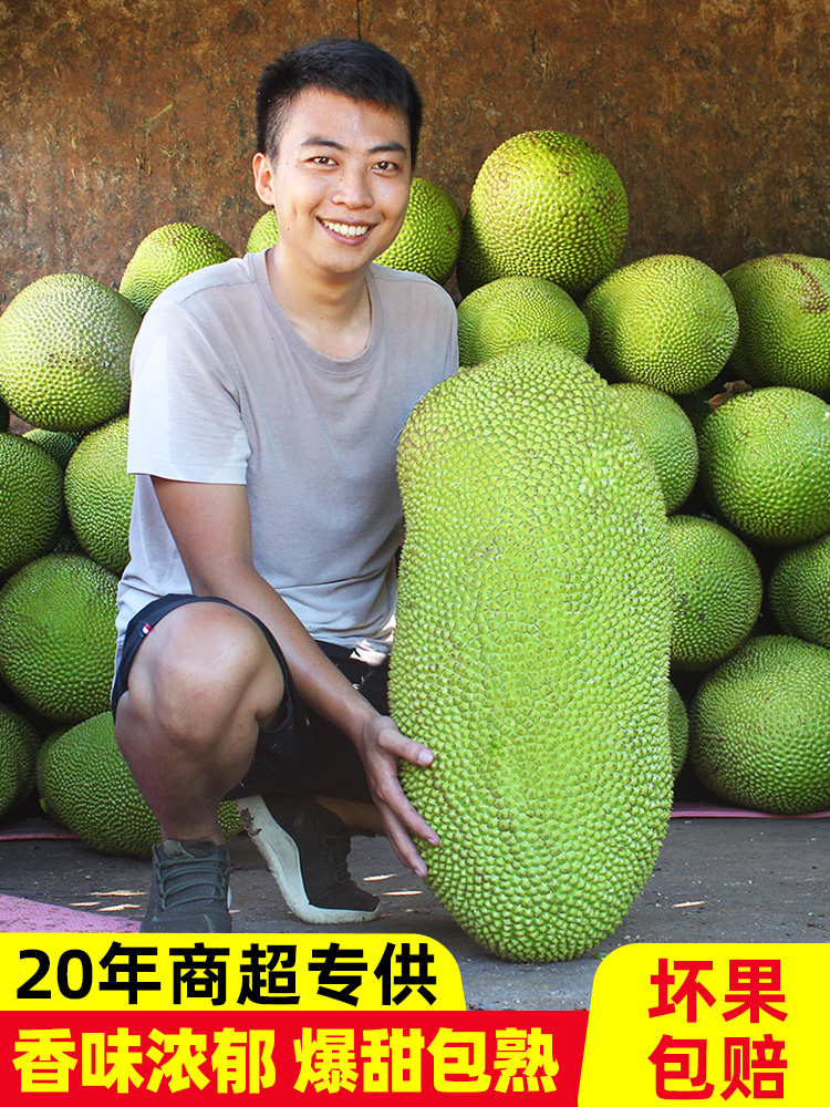 海南菠萝蜜一整个15斤新鲜水果菠萝蜜干苞波罗蜜20斤木菠萝25斤