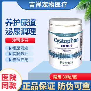 英国进口沙斯多芬猫咪优泌可利尿通尿闭膀胱结石泌尿沙司多芬猫用