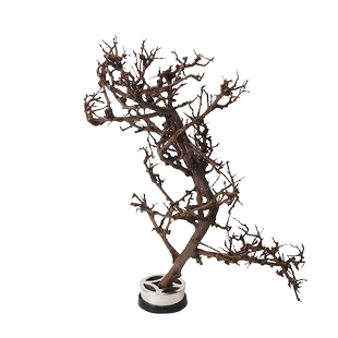 花材造景树枝泰国枝插花干枝材料莫斯树杜鹃根装饰家居造型枯枝