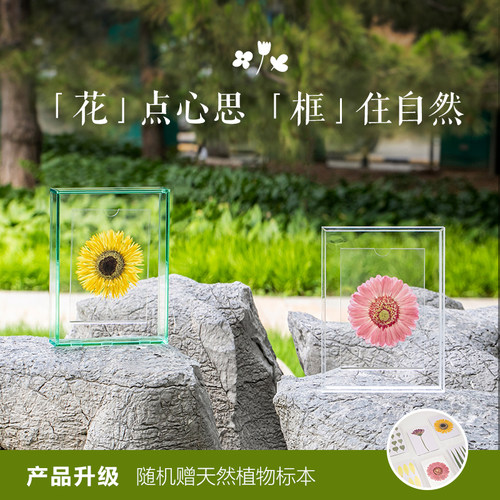 LittlenookDIY悬浮亚克力相框