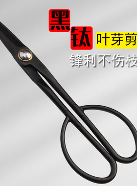 全不锈钢园艺剪叶芽剪