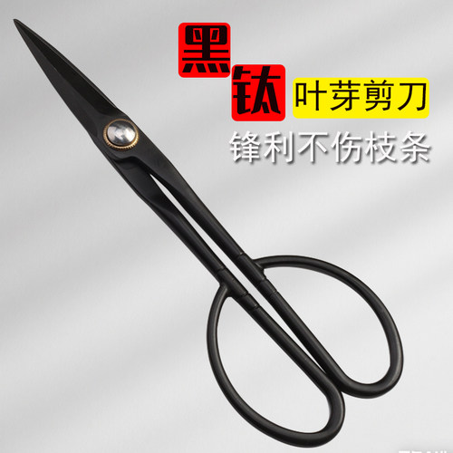 全不锈钢园艺剪叶芽剪