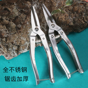 全不锈钢摘果剪刀修枝剪刀果园采摘水果专用自动回弹剪加厚水果剪