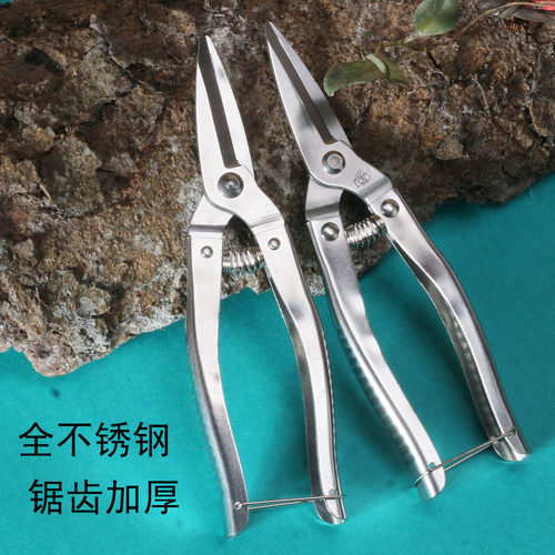 全不锈钢摘果剪刀修枝剪刀
