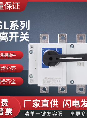 负荷隔离开关HGL-250/3P 切换开关 柜内 柜外 紫铜 手动转换开关