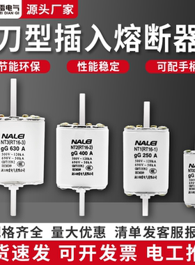 插入刀型熔断器NT00NT1NT2NT3低压熔芯陶瓷保险丝底座新RT16系列