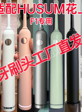 六月初适配花上F1/HUSUM电动牙刷头替换装F系列F4清洁软毛粉紫色