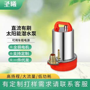 电瓶抽水机48v60v家用电动车直流潜水泵 12v24v微型便捷式