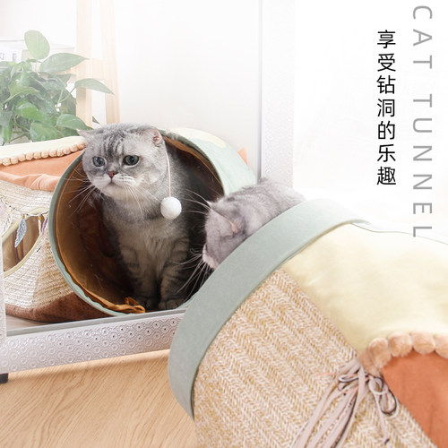 吉仔咪隧道网红猫窝钻洞