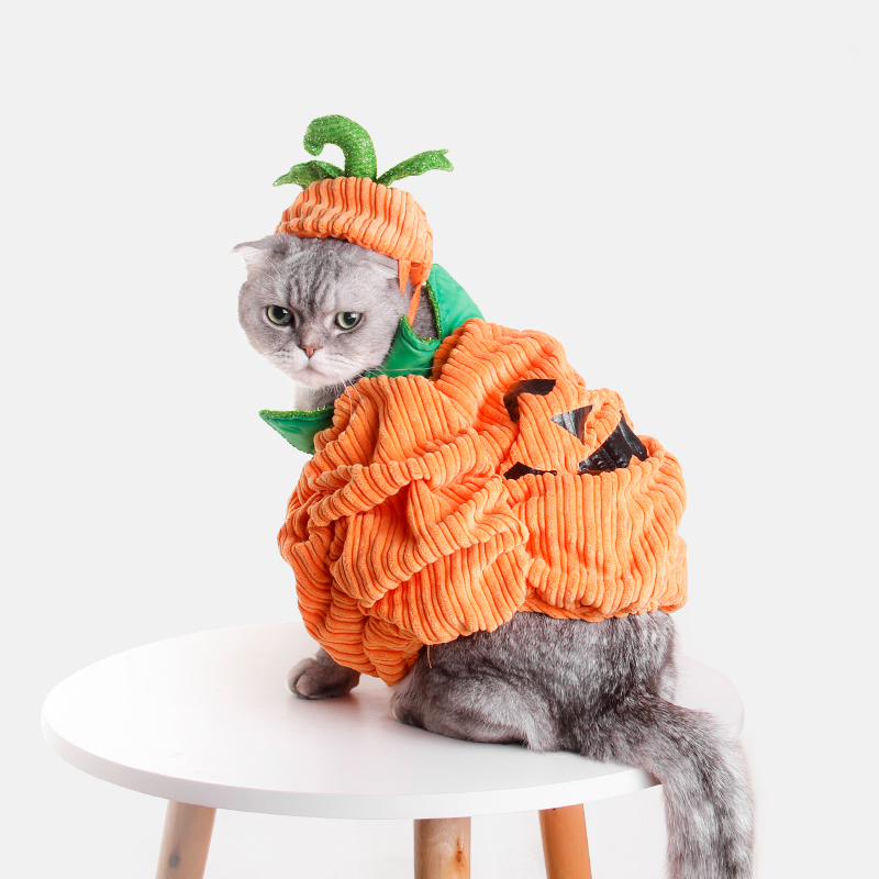 吉仔仔圣诞节南瓜冬季保暖猫咪