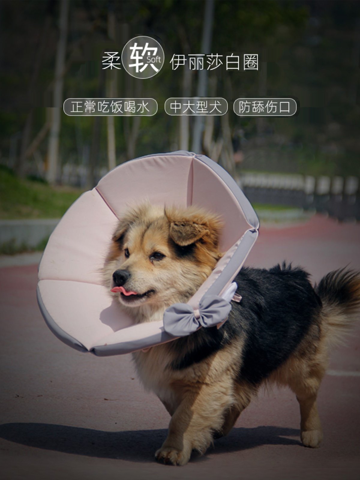 伊丽莎白圈猫咪软狗狗头套防咬防舔透气绝育皮肤病脖圈套宠物驱虫,宠物/宠物食品及用品,宠物伊丽莎白圈,淘宝优惠券,粉丝福利购,淘宝优惠卷