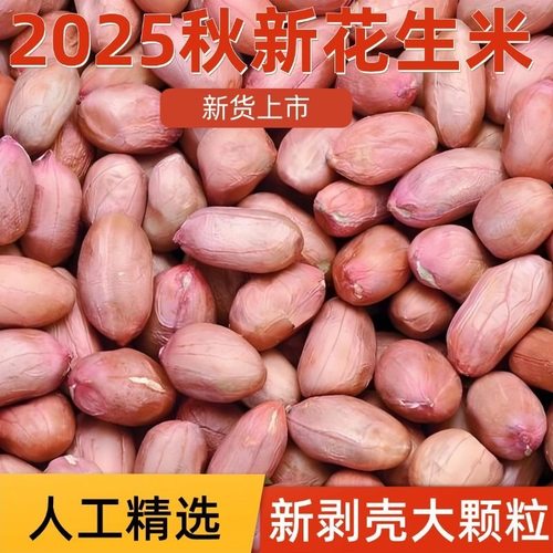 河南花生大颗粒生花生米