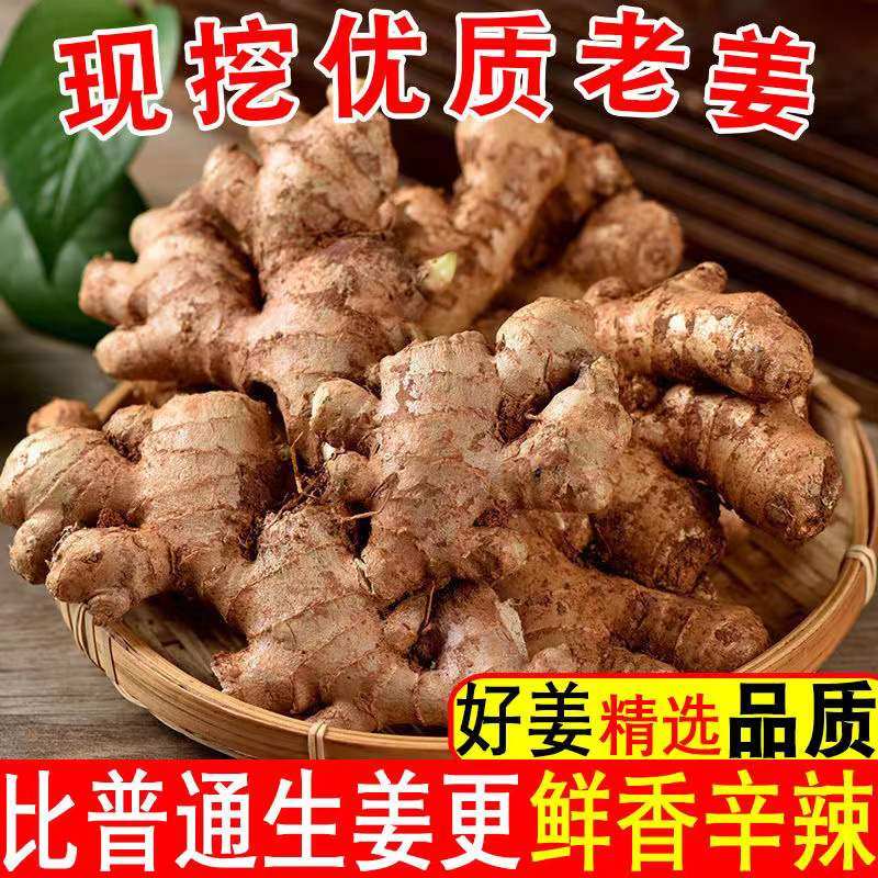生姜老姜山东老黄姜现挖5斤包邮