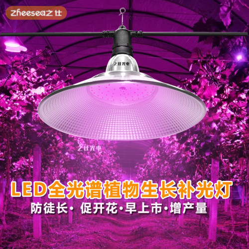 葡萄补光育苗植物灯多肉樱桃番茄