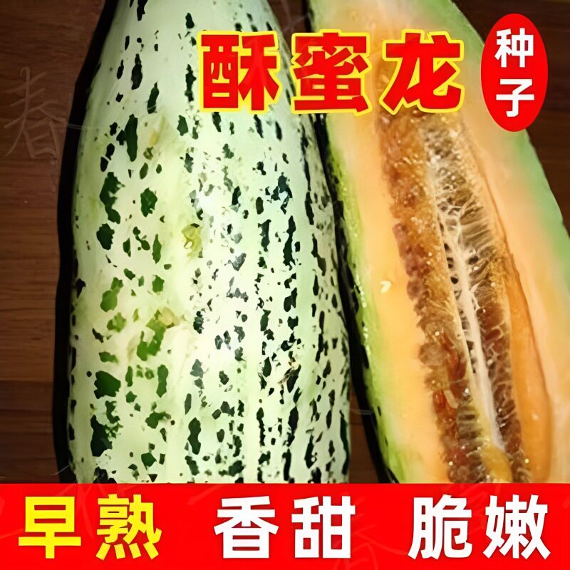 【原厂彩包】高产酥蜜龙甜瓜种子 甜早熟花皮牛角酥甜瓜种籽