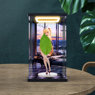 防尘透明收纳盒适用BearPanda 小百合14兔女郎真丝袜温感漆追视眼