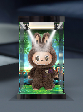 高清亚克力展示盒适用POPMART泡泡玛特labubu ifound you搪胶公仔