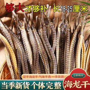 海龙干货大号六角海龙正宗大刁泡酒晒干海龙鱼干中药材煲汤滋补