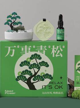 万事青松 香薰水晶石扩香石精油礼盒室家用无火香薰家用高级感