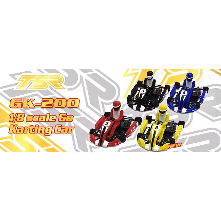 TEAMSAXO1/8卡丁车GK-200