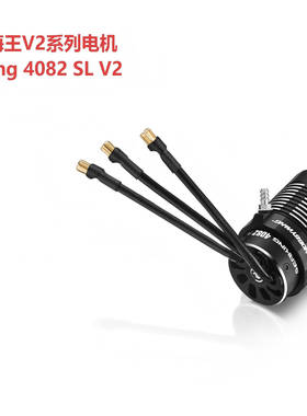 好盈 HOBBYWING海王系列电机 SeaKing 4082 SL V2