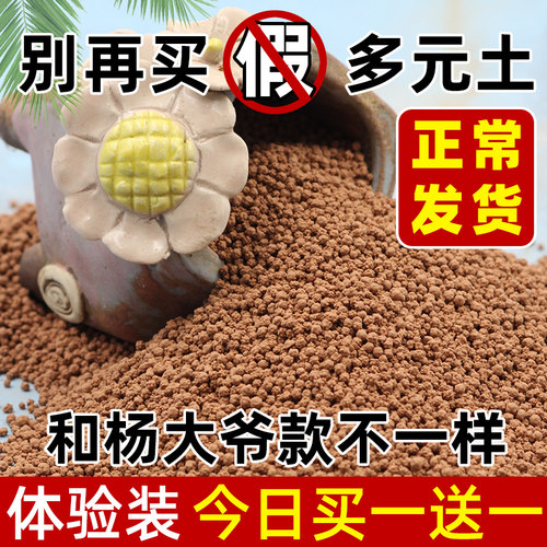 猫小姐多元土多肉铺面多元素园艺