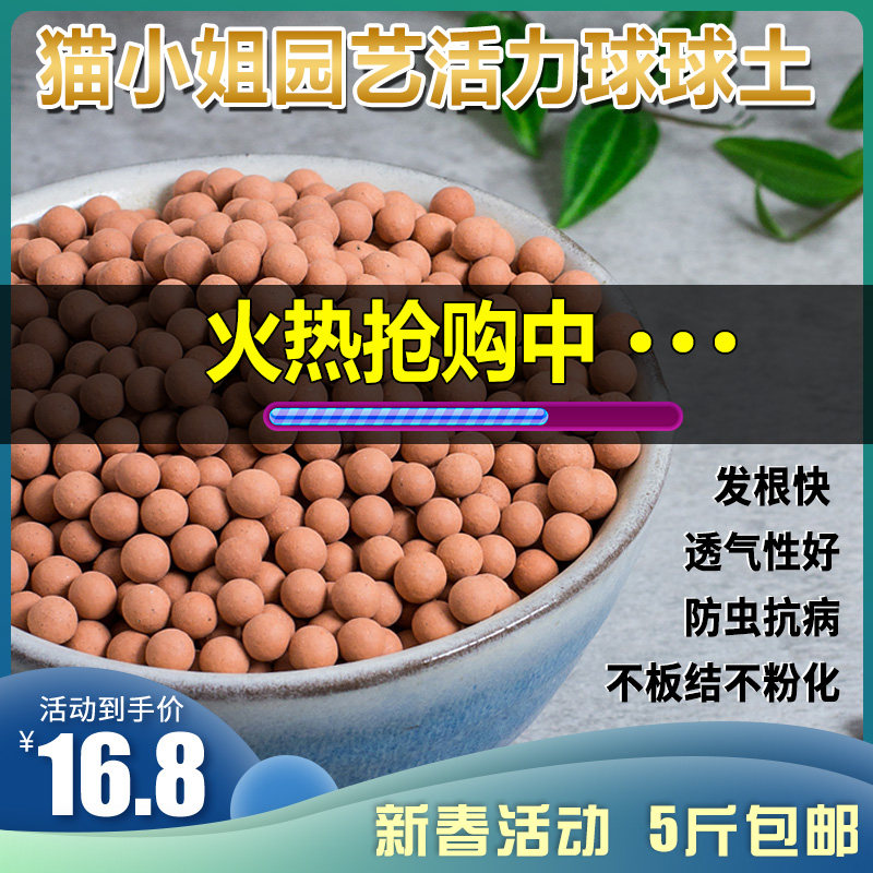 活力土球球土懒人土多元土麦饭石铺面颗粒素营养土多肉植物种植,鲜花速递/花卉仿真/绿植园艺,介质/营养土,淘宝优惠券,粉丝福利购,淘宝优惠卷