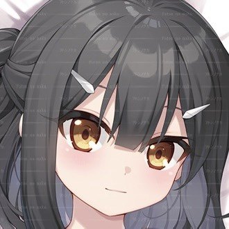 Fate 魔法少女伊莉雅 卫宫美游 二次元等身抱枕套