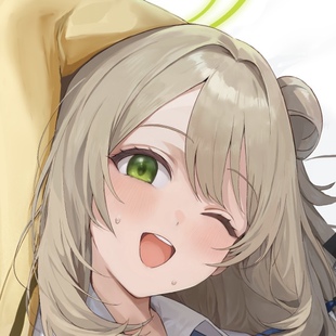 C104 晃田ヒカ 碧蓝档案 十六夜野宫ノノミ 二次元等身抱枕套