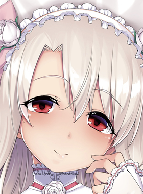 C107 FGOFate 魔法少女伊莉雅 白丝 日版周边游戏等身抱枕套