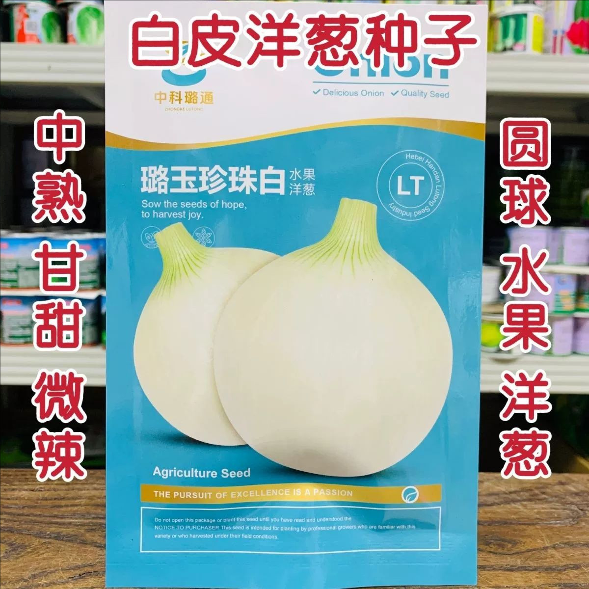 璐玉珍珠白水果洋葱种子 中熟白皮洋葱种子甘甜微辣圆葱种子10克