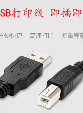 适用epson爱普生L1300 L1800 L810喷墨打印机数据线WF-5113连接线