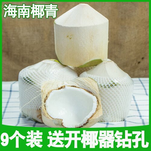 海南椰青新鲜现摘9个装去皮椰子