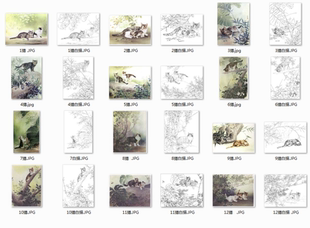 工笔国画底稿 工笔猫白描打印稿12张组合 可选择单张