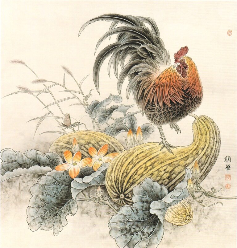 工笔画底稿国画 鸡 南瓜公鸡白描斗方25#打印稿有步骤图学习临摹