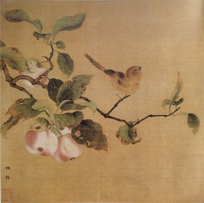 工笔画底稿苹果宋林椿果熟来禽图白描1#打印稿宣纸稿有步骤图视频